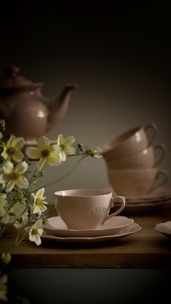 Dúo de té de loza inglesa J&G Meakin Rosa.