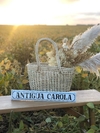 Banner Antigua Carola