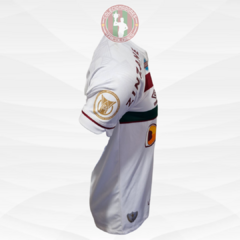 Imagem do Camisa Fluminense 2023 N°17 Léo Fernandez Usada em Jogo Tamanho P - Umbro