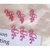 Clips Flamingo c/12 na internet