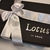 Logotipo em Hot Stamping - loja online