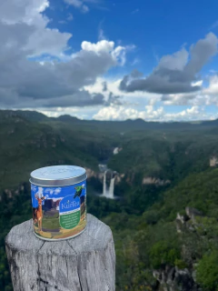 Joias do cerrado Lata na internet