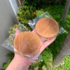 Stroopwafel