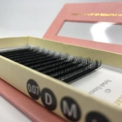 Cílios Decemars Fio W-4d Mix 8-12mm egipicio 0.07mm. - comprar online