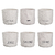 Contenedor Rotulado Small