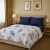 Juego De Sabanas Cacharel en cofre 1 1/2 Plazas Classic - Love & Home