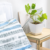Juego Sabanas King Soft Premium Cotton Touch C/bolsa Regalo - Love & Home