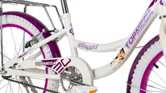 Bicicleta topmega Flexygirl R20 - Bicicletas Pioneer