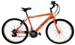 Bicicleta Pioneer Mtb 18v Rodado 24