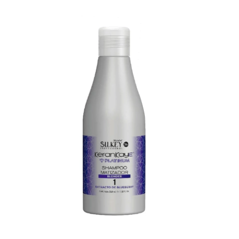 SHAMPOO MATIZADOR BLONDER PERFIL 1 - comprar online